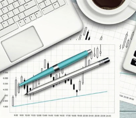 Investment portfolio accounts / Investment Wakala